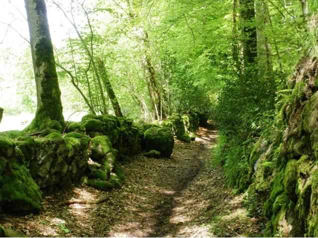 chemin_St-Roch.jpg
