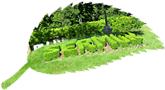 sermur_logo